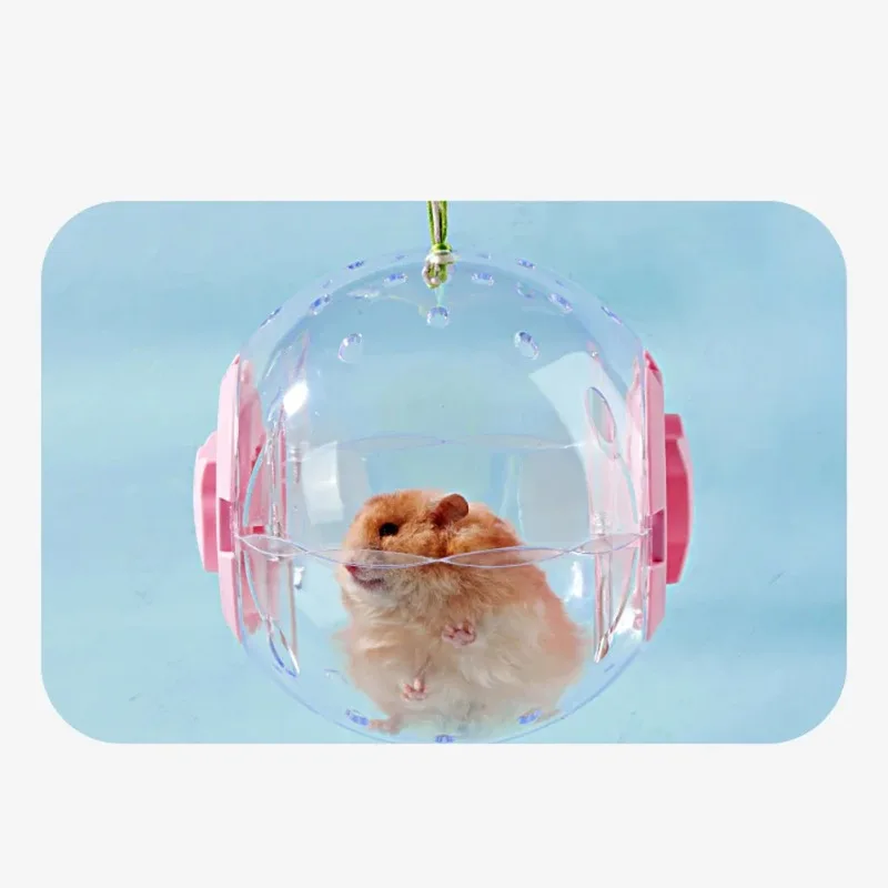 Bola de Exercício para Hamster Transparente com Corda de Tração - Imagem 6