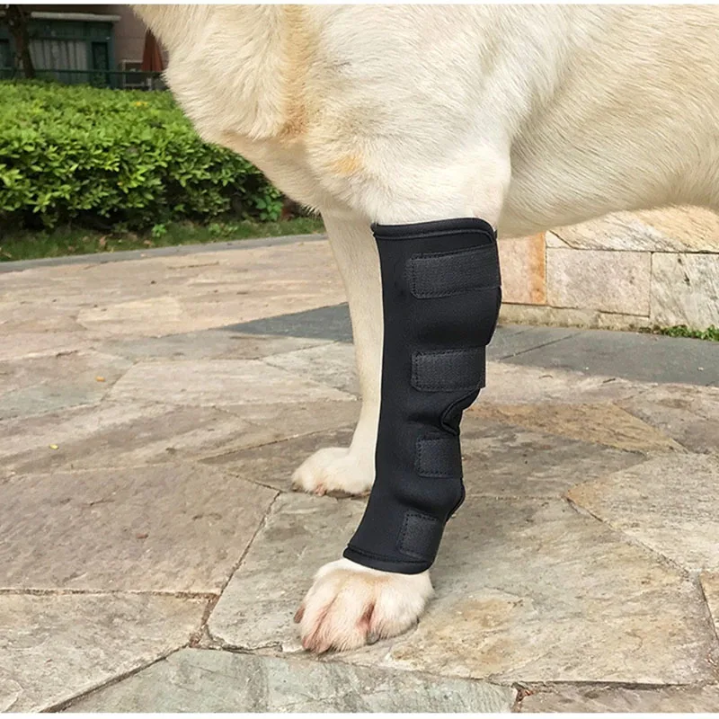 Joelheira para Cães de Recuperação Anti-Lambedura Pós-Operatória - Imagem 3