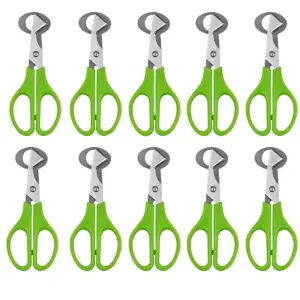 tesoura para ovos de codorna