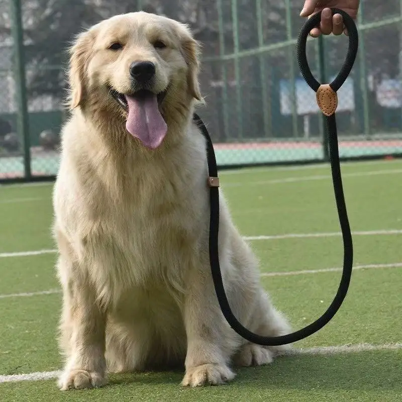 Coleira Guia para Cães Pequenos e Médios de Corda Trançada com Laço Ajustável - Imagem 3