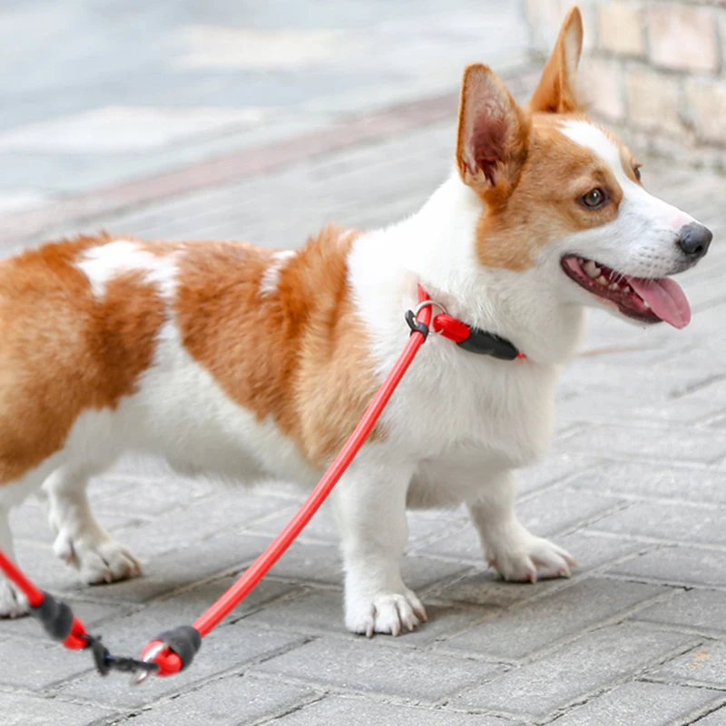 Coleira P para Cães de Nylon com Corrente para Treinamento - Image 3