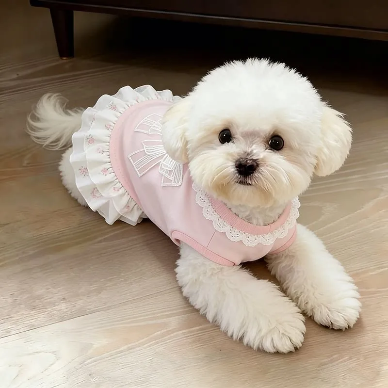 Colete para Cães Pequenos e Médios Respirável - Image 4