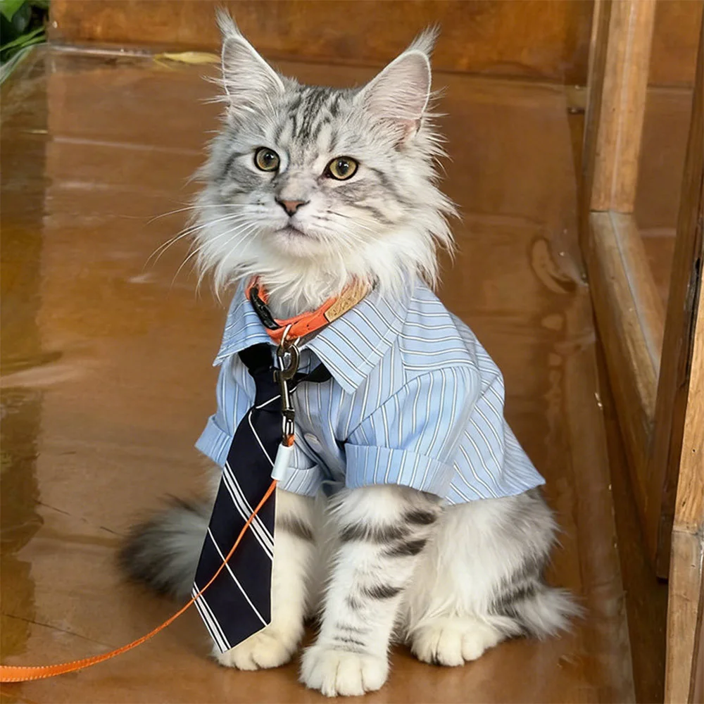 Camisa Listrada para Cães e Gatos Estilo Colegial - Imagem 5