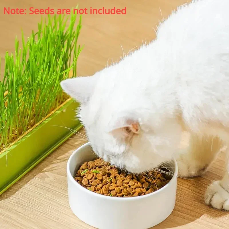 Bandeja para Germinação de Grama de Gato em Camadas - Image 3