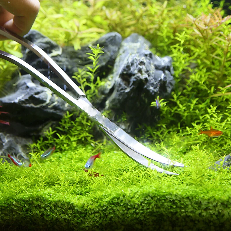 Tesoura e Pinça para Aquário de Aço Inoxidável 25-32 cm para Manutenção - Imagem 5