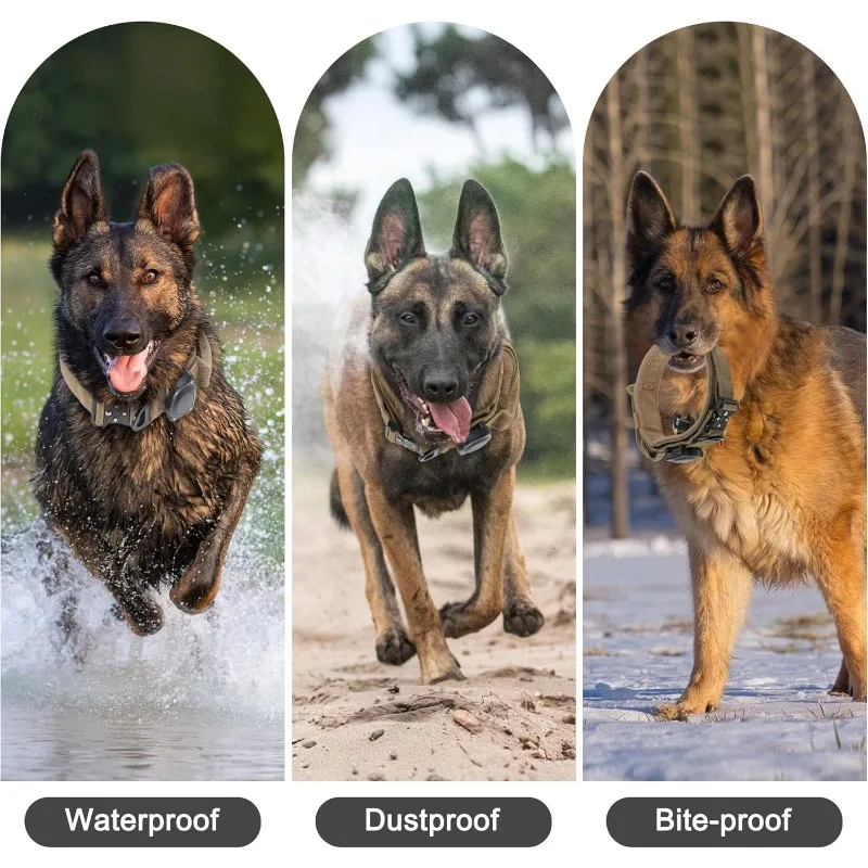Coleira Tática para Cães com Suporte para AirTag e Alça de Controle - Imagem 4