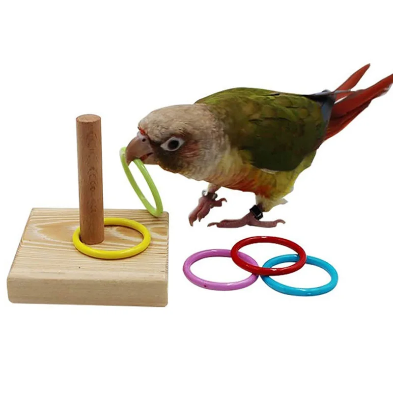 Brinquedo Educativo para Pássaros, Blocos e Anéis de Plástico Coloridos - Imagem 6