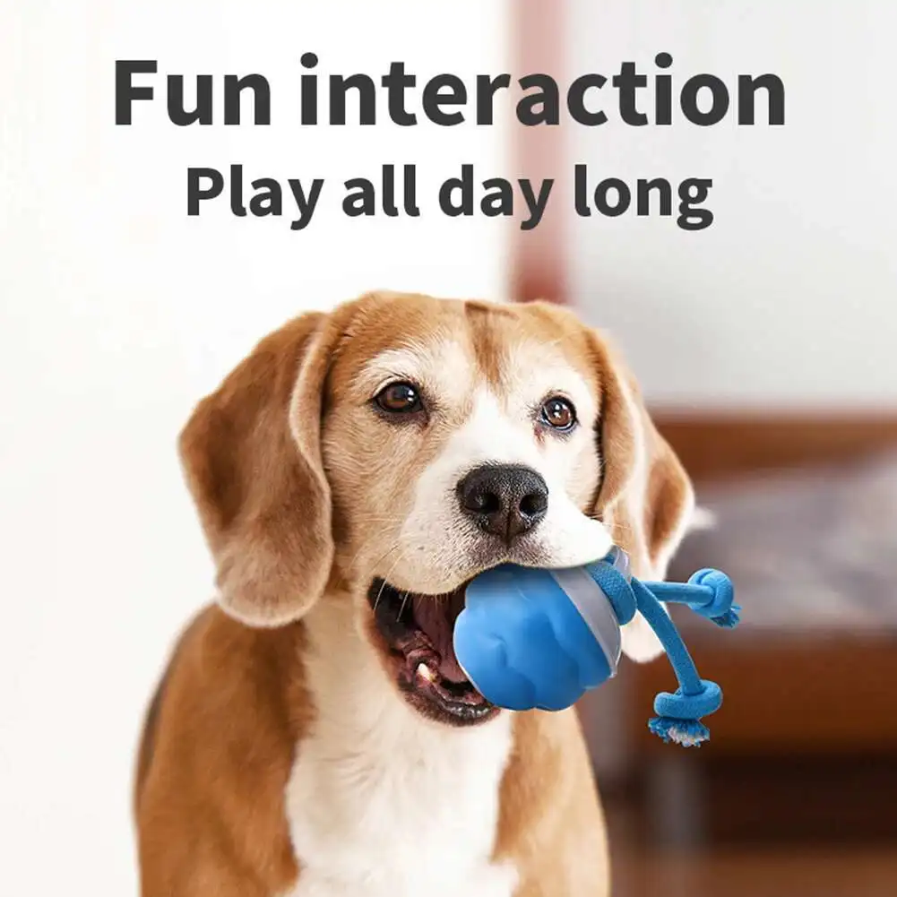 Bola Interativa para Cães com Corda Removível e Lavável - Imagem 3