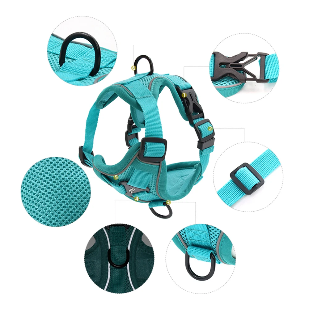 Conjunto Peitoral e Guia para Cães Pequenos Ajustável e Refletivo - Imagem 4