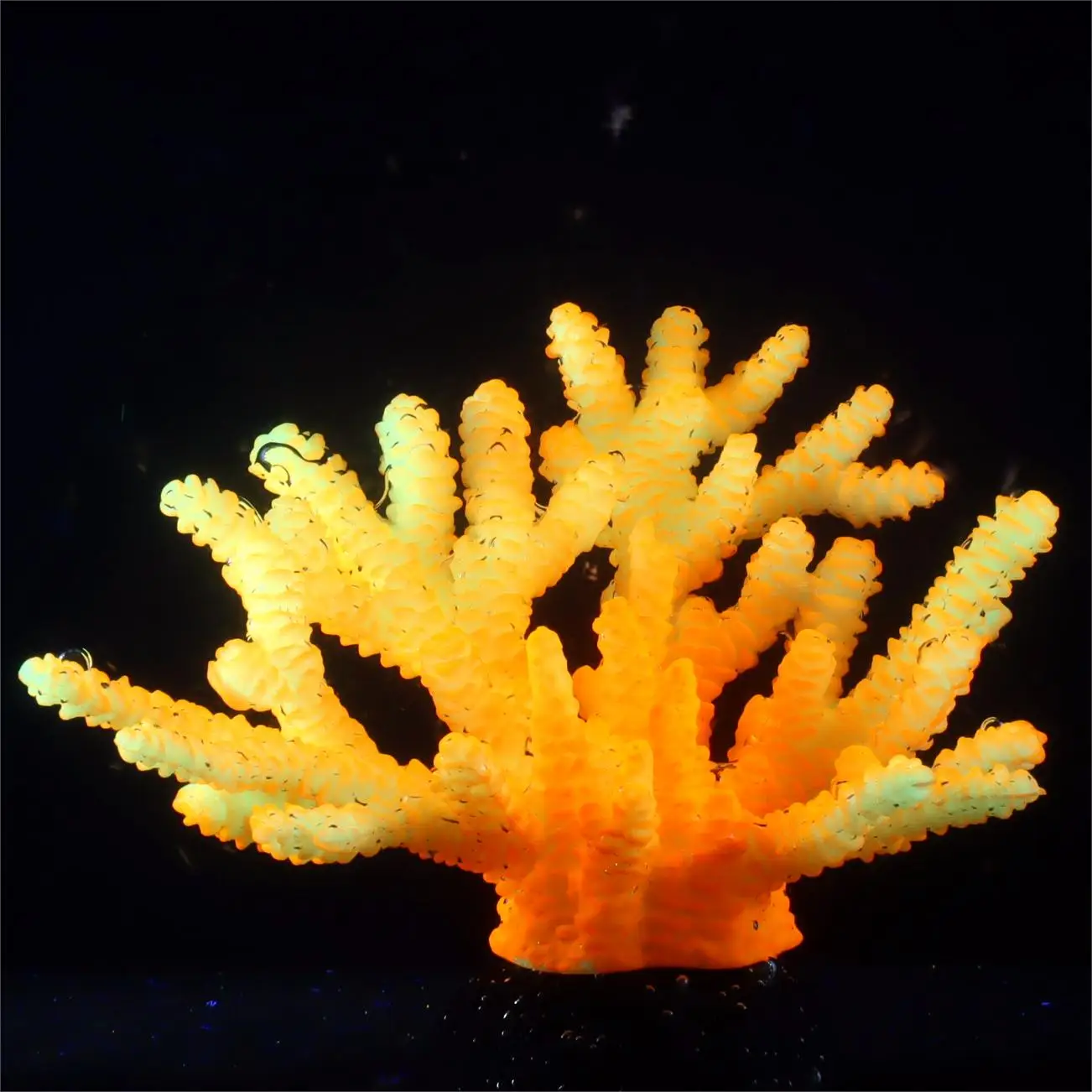 Decoração de Aquário Coral Fluorescente para Peixe Betta Azul - Imagem 4