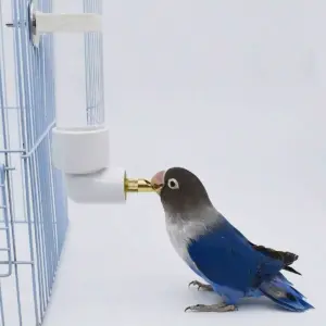 bebedouro automático para pássaros e roedores