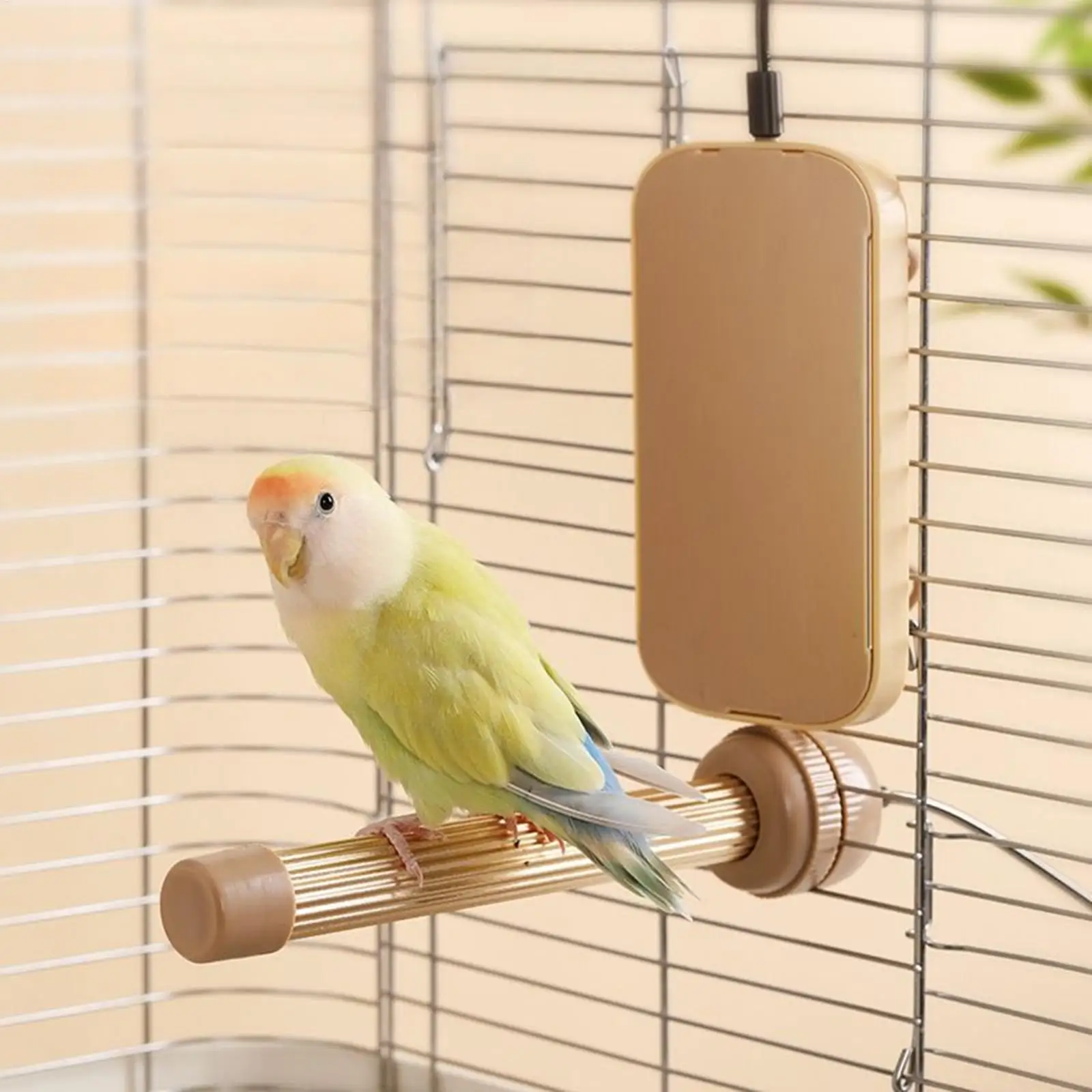 poleiro aquecido usb para pássaros
