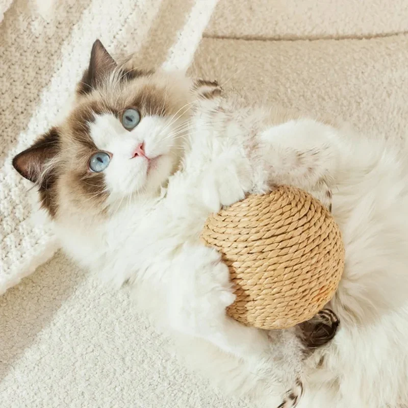Brinquedo de Sisal para Gatos Bola Arranhador 10 cm com Som - Image 3