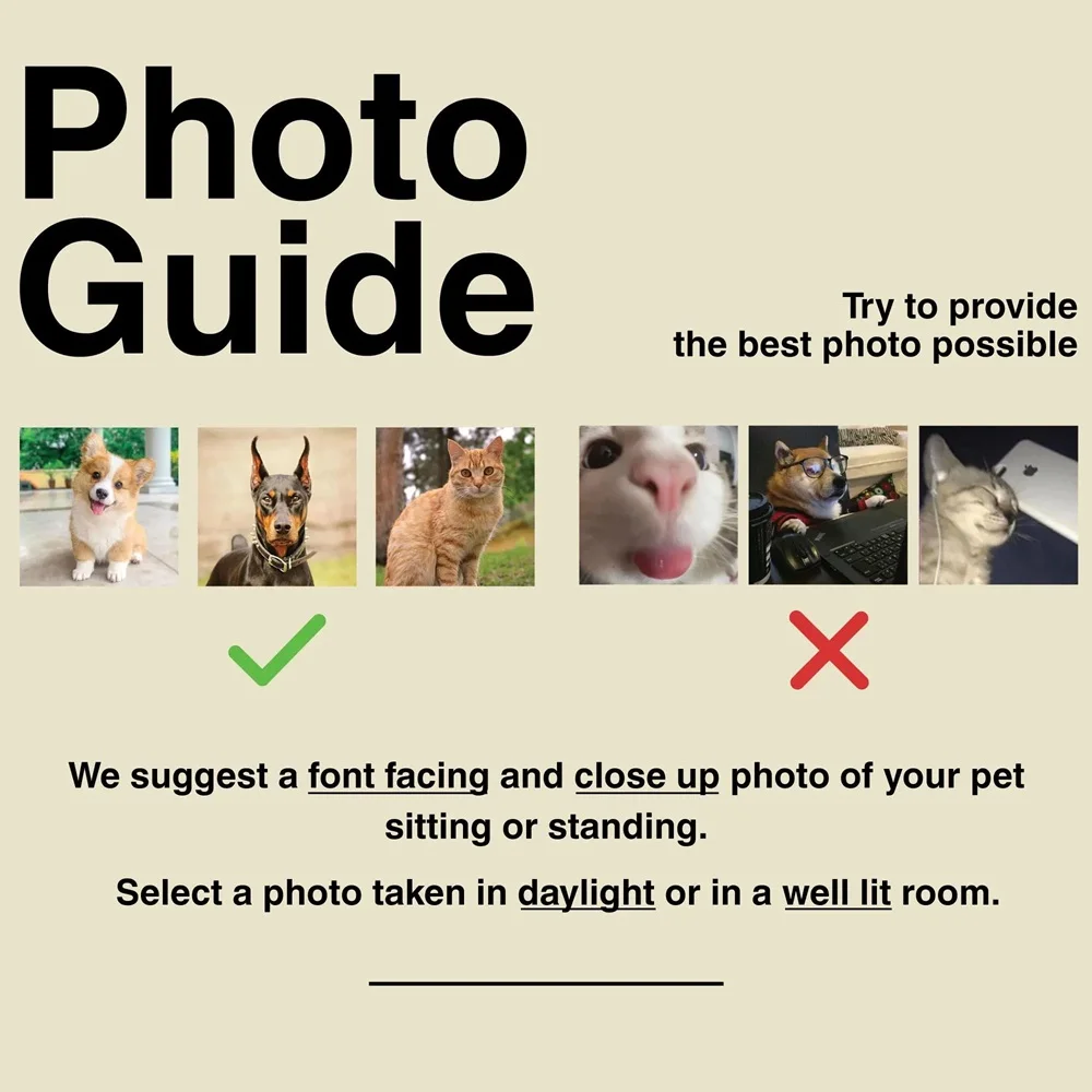 Luz Noturna LED para Cães e Gatos com Foto Personalizada - Image 5