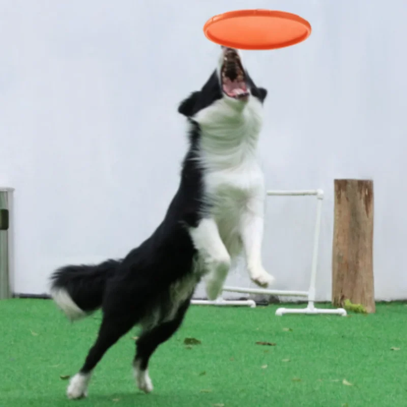 Brinquedo Disco Voador de Silicone para Cães e Gatos Resistente a Mordidas - Imagem 2