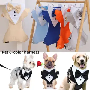 coleira e arnês para cães com gravata borboleta