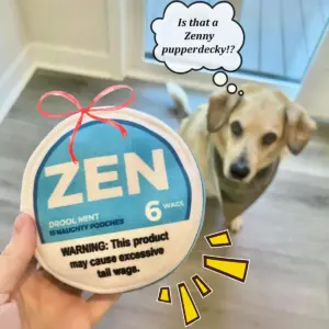 brinquedo de pelúcia para cães