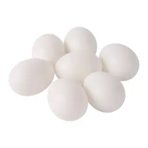 ovos simulados para pombos