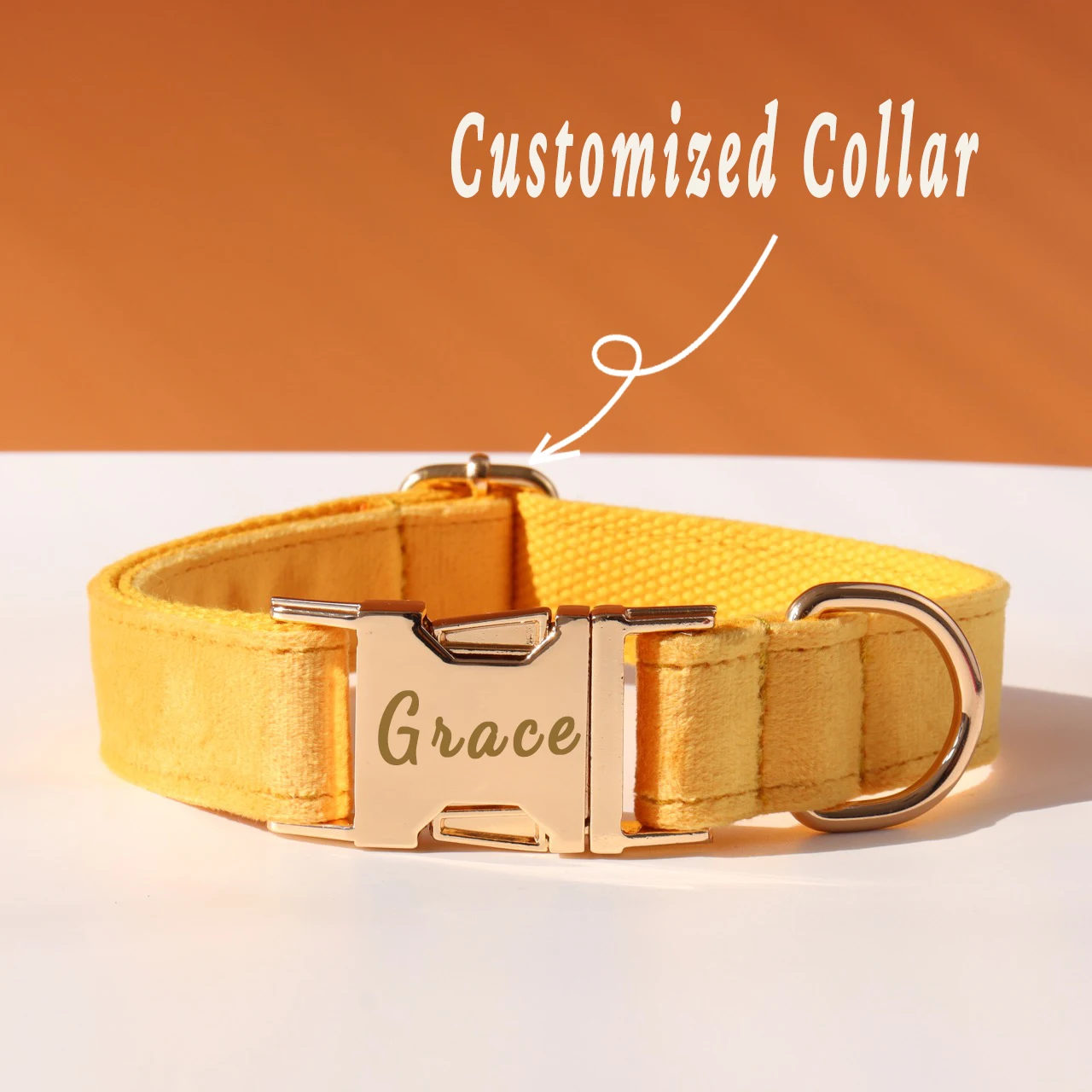 Coleira e Guia Personalizada para Cães com Nome e Telefone - Imagem 3