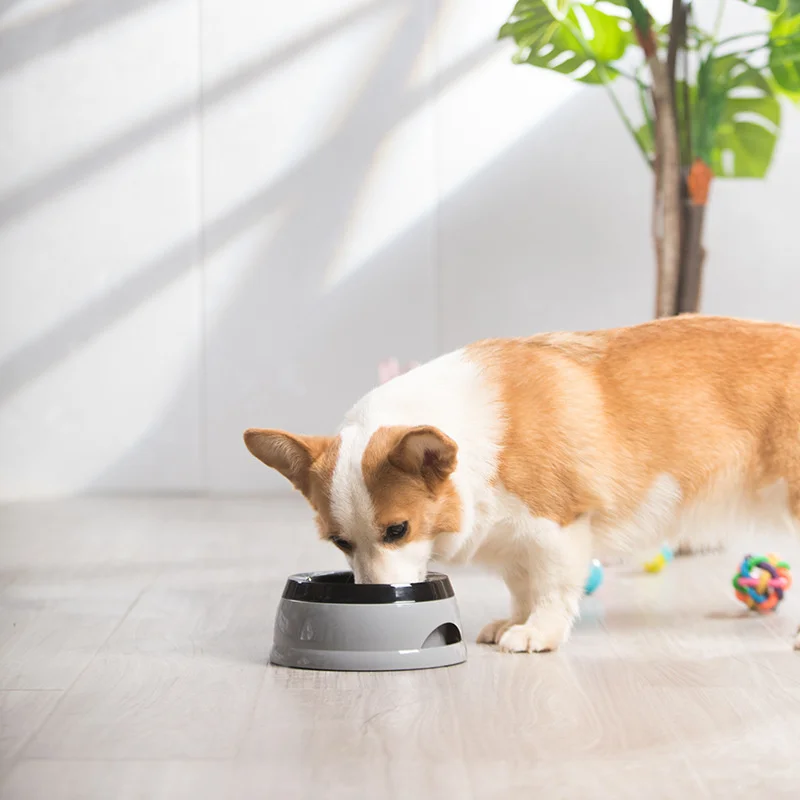 Tigela Flutuante para Cães e Gatos Portátil Antiderramamento - Imagem 5