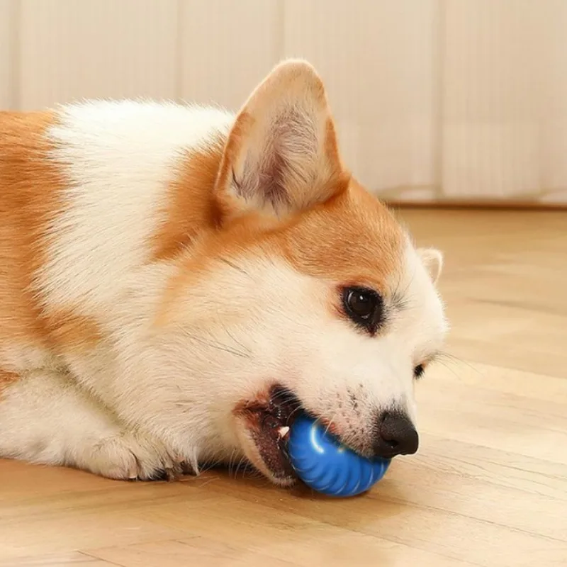 Bola Interativa para Cães Recarregável USB Movimento Automático - Imagem 4