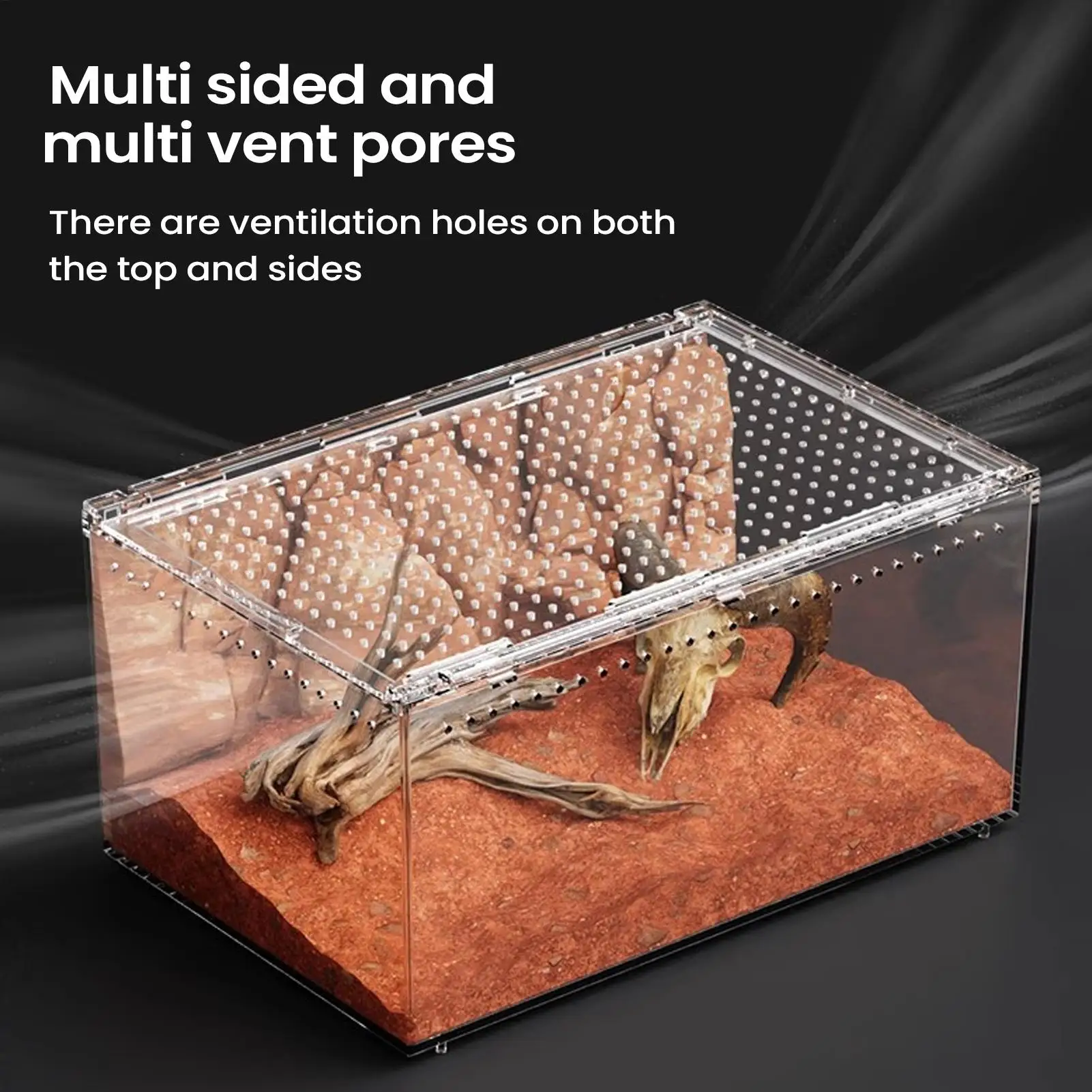 Terrário para Répteis de Acrílico Transparente com Ventilação - Imagem 3