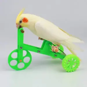 bicicleta de treinamento para papagaio