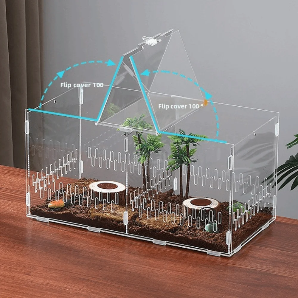 Terrário de Acrílico para Aranhas com 2 Portas e Ventilação - Imagem 3