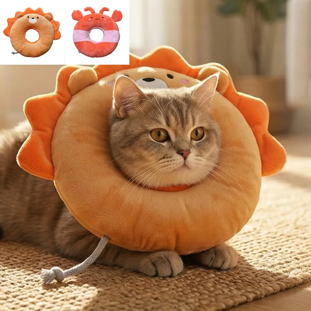 coleira protetora para cães e gatos