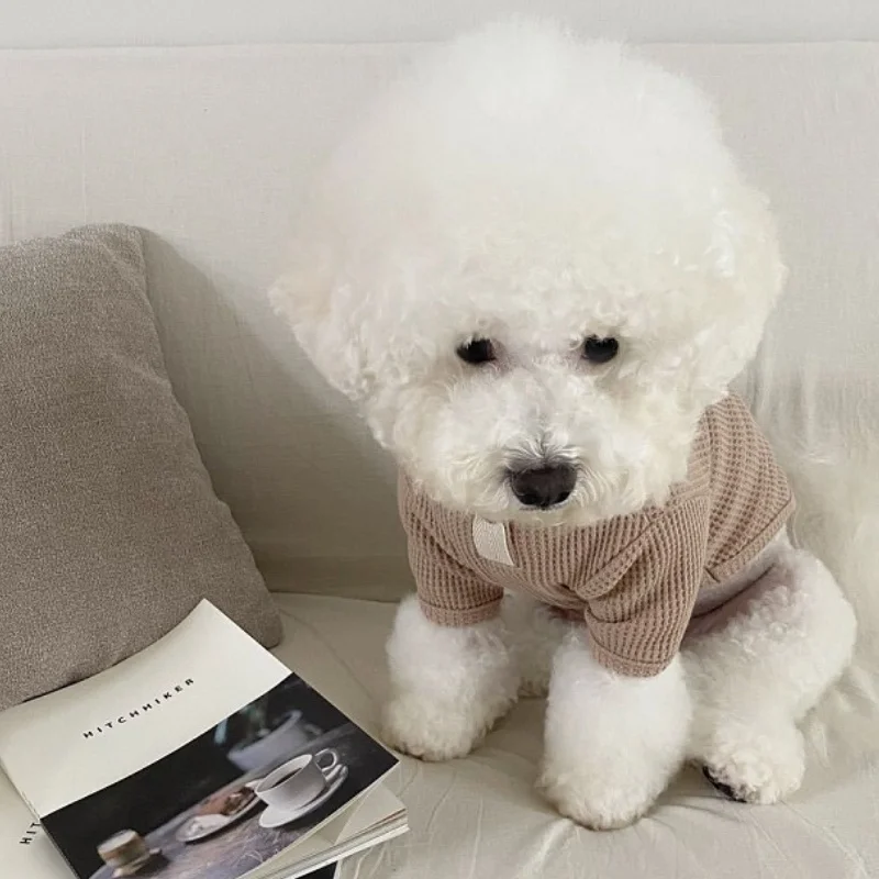 Camisa para Cães e Gatos de Poliéster para Outono Inverno - Image 4