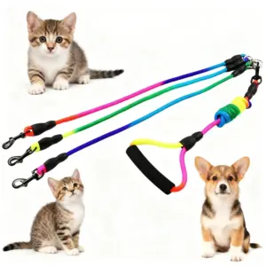 trela nylon arco-íris para cães e gatos