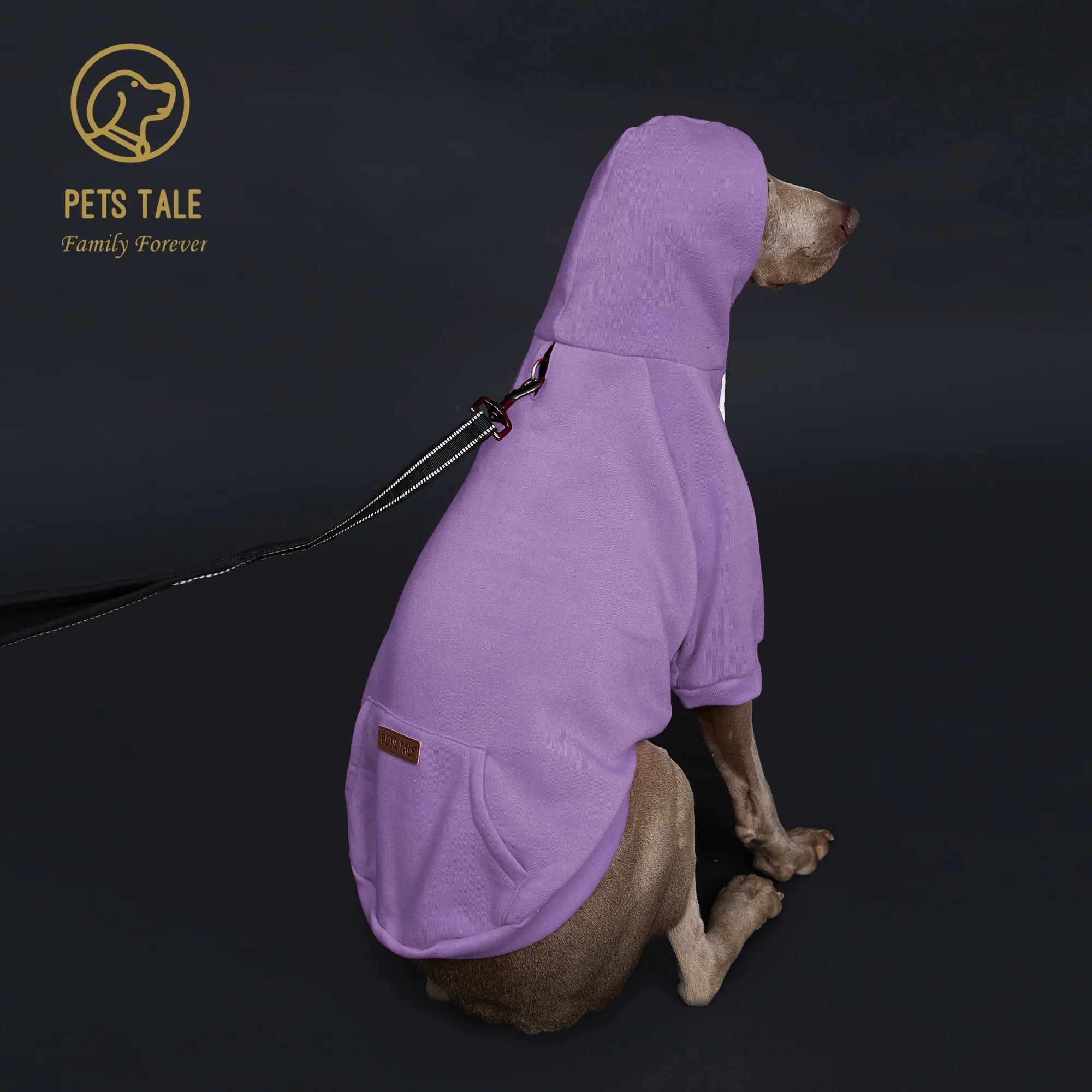 Moletom para Cães com Capuz Bolso e Fecho de Gancho - Imagem 4