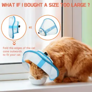 colar elizabetano macio para cães e gatos