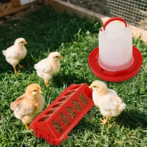 comedouro e bebedouro para aves suspenso