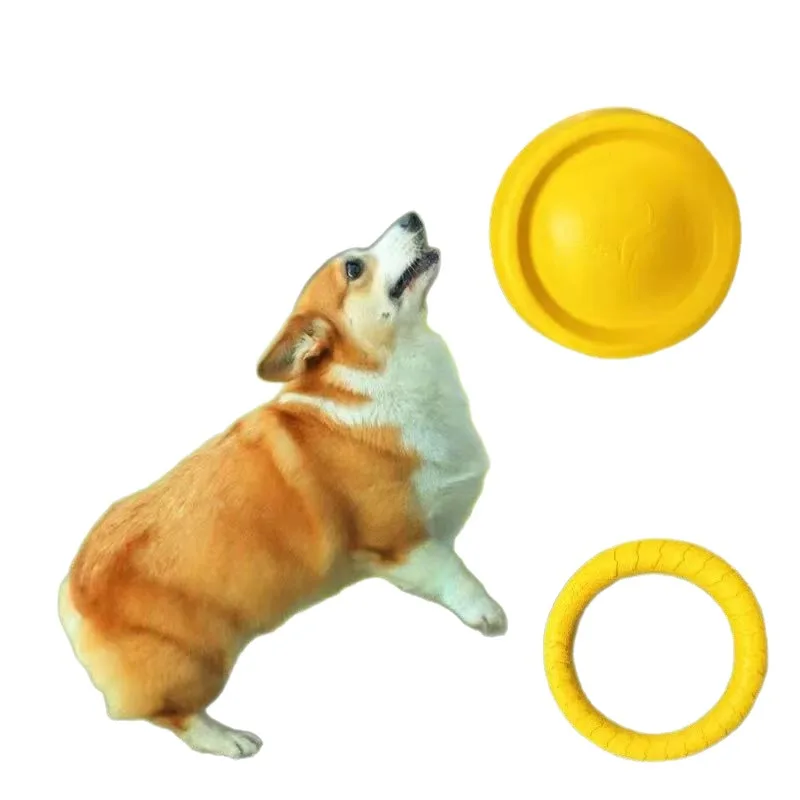 Brinquedo de Argola para Cães para Lançar e Capturar - Imagem 5
