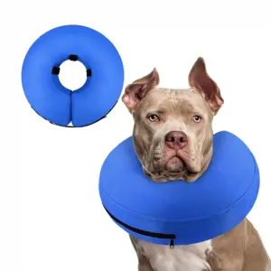 coleira inflável para cães e gatos