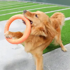 disco voador para cães de eva