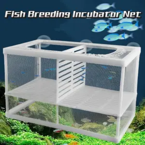 caixa de isolamento para peixes de aquário