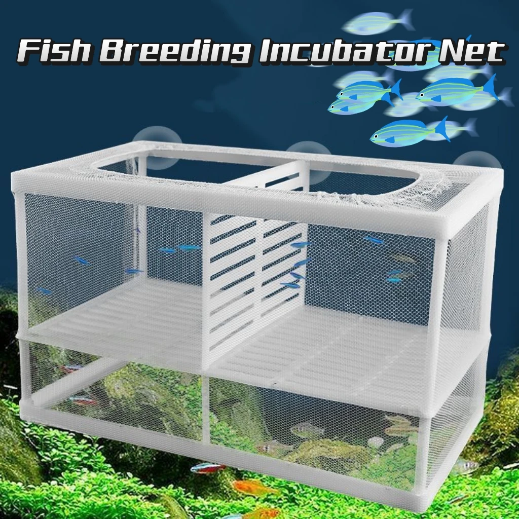 caixa de isolamento para peixes de aquário