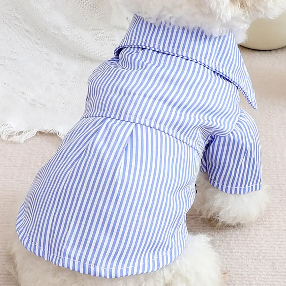 Roupa para Cães Listrada Azul de Poliéster para Verão - Imagem 3