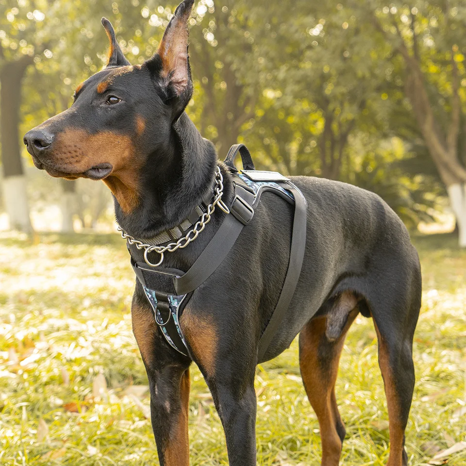 Colete Peitoral para Cães com Faixa Refletiva e Alça - Imagem 5
