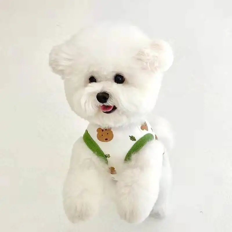 Colete para Cães Pequenos Estilo Coreano Leve e Fino - Image 2