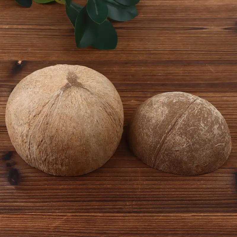 Decoração de Coco para Aquário e Terrário Esconderijo Natural - Imagem 5