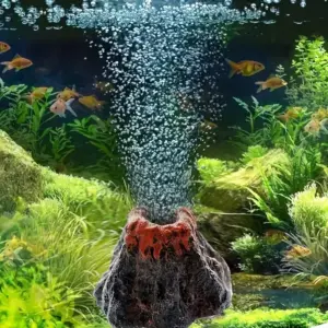 pedra vulcânica para aquário pequeno