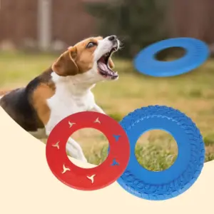 disco voador para cães interativo