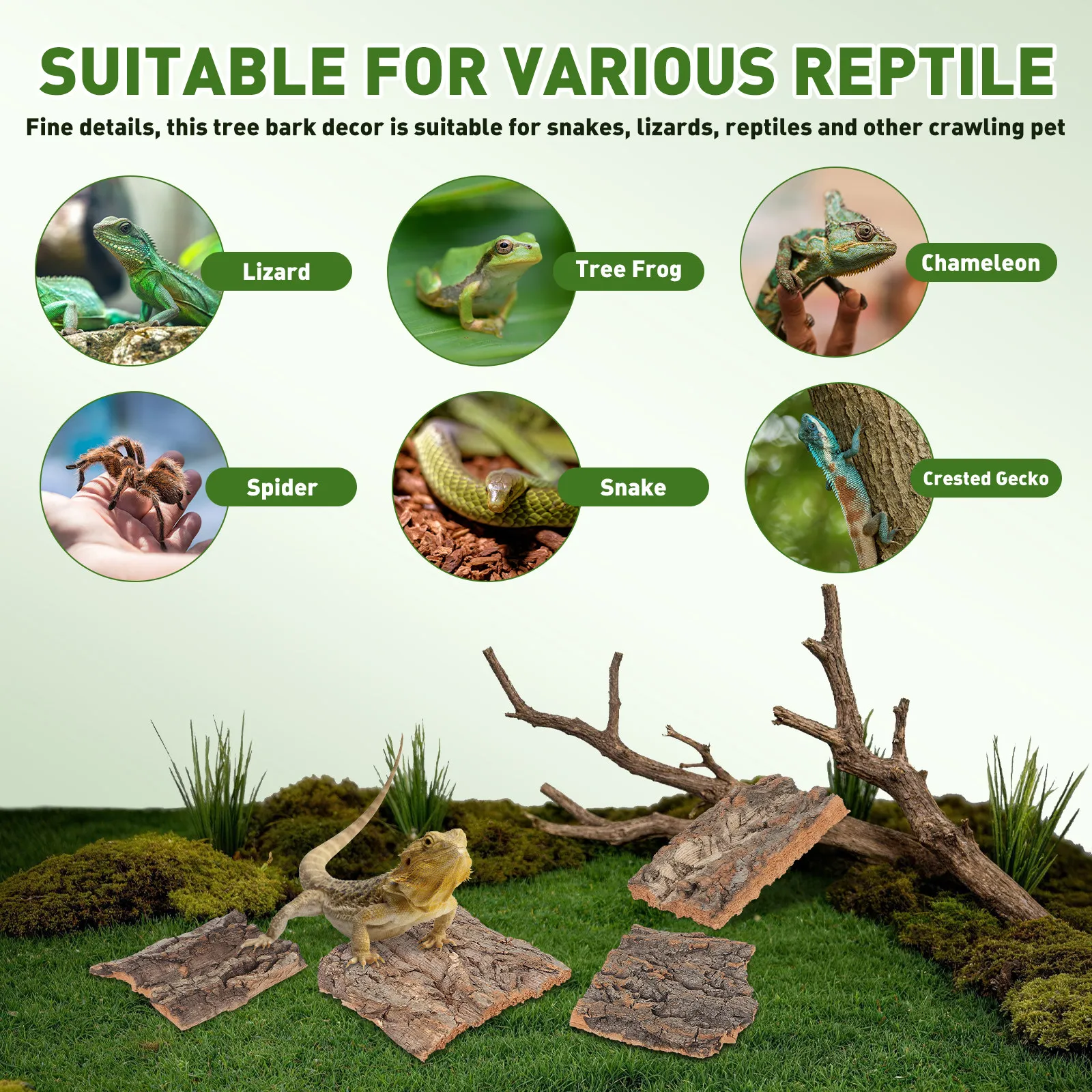 Casca de Cortiça Natural para Réptil 4 Peças para Terrário - Imagem 5