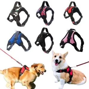 arnês de nylon para cães