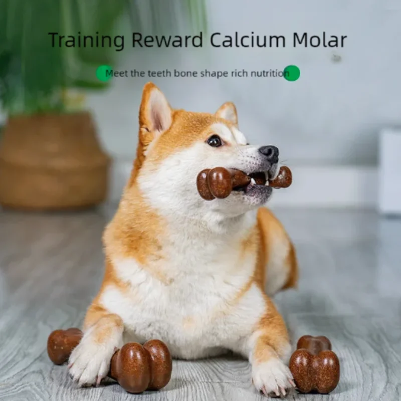Brinquedo de Mastigar para Cães Anti-Mordida para Cães Pequenos e Médios - Imagem 2