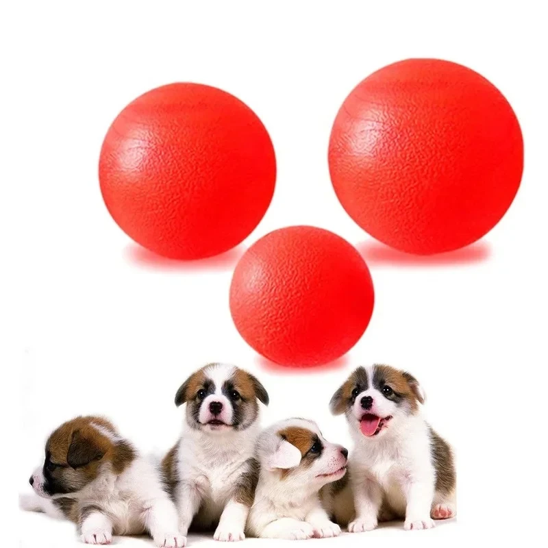 Bola para Cães de Borracha Sólida Média 7cm para Brincar e Treinar - Imagem 2