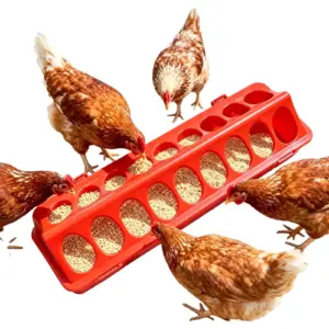 comedouro e bebedouro para aves anti-desperdício